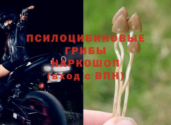 мяу мяу кристалл Верея