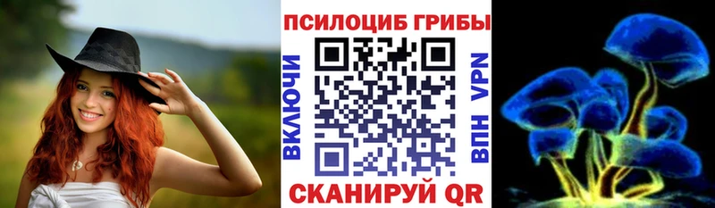 OMG зеркало  Дальнереченск  Галлюциногенные грибы мухоморы 